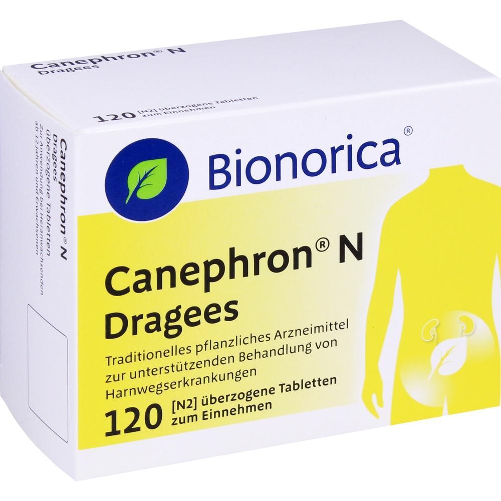 Eine Packung Canephron N Dragees mit 120 &uuml;berzogenen Tabletten.